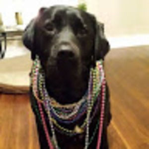 Meet your Posher, Todd